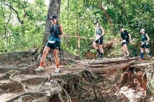 BIB: 
                            <button type="button" onclick="openModal(27718962)" class="btn btn-primary btn-sm float-right btn-popup" data-toggle="modal" data-target=".modal-high-quality">
                        <i class="fas fa-shopping-cart"></i> Add to Cart
                    </button>
                                            <button type="button" onclick="isThisMe(27718962, true)" class="btn btn-success btn-sm float-right btn-popup btn-isme hidden" data-toggle="tooltip" data-placement="bottom" title="นี่คือรูปของคุณใช่ไหม คลิกที่นี่เพื่อเอาเข้าอัลบั้ม">
                        <i class="fas fa-plus"></i> Add to album
                    </button>
                    <button type="button" onclick="isThisMe(27718962, false)" class="btn btn-warning btn-sm float-right btn-popup btn-isnotme hidden">
                        <i class="fas fa-ban"></i> Remove from album
                    </button>